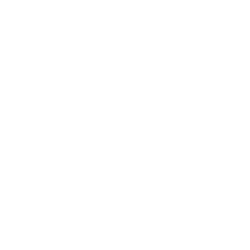 Ikona